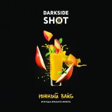 Darkside Shot 120 г Южный вайб