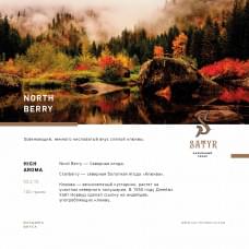 Satyr Aroma Line 25 г North Berry (Клюква)