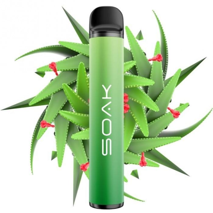 ЭС Soak X Aloevera