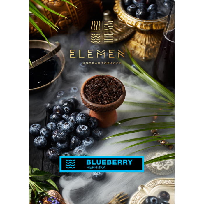 Element Вода 25 г Черника