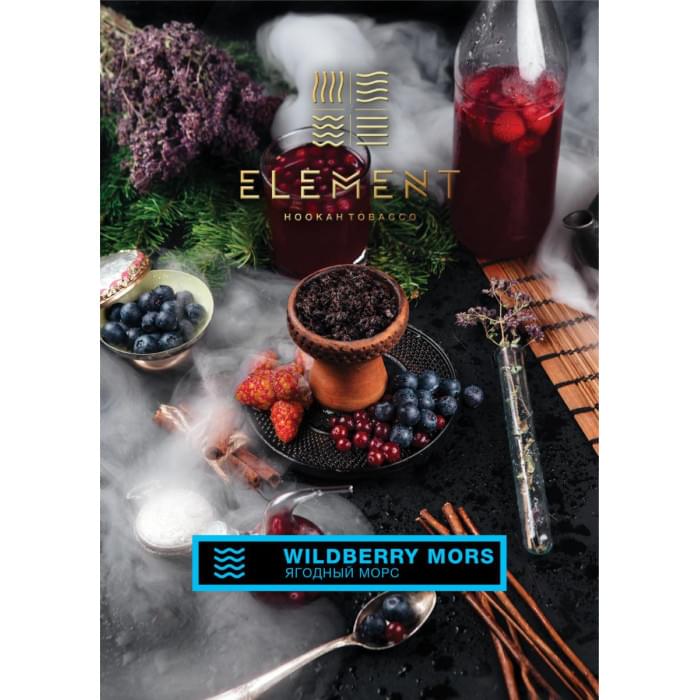 Element Вода 25 г Ягодный Морс