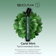 ЭС Soak S Cane Mint (Тростниковая мята)