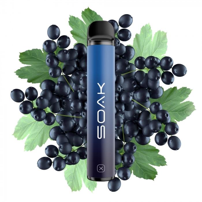 ЭС Soak X Forest Blackcurrant