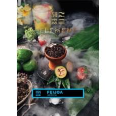 Element Вода 25 г Фейхоа