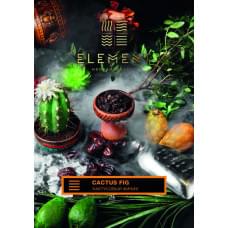 Element Земля 25 г Кактусовый Финик