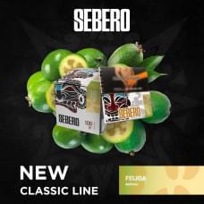 Sebero 40 г Feijoa