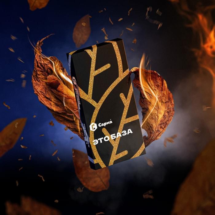Сарма 25 г Это База