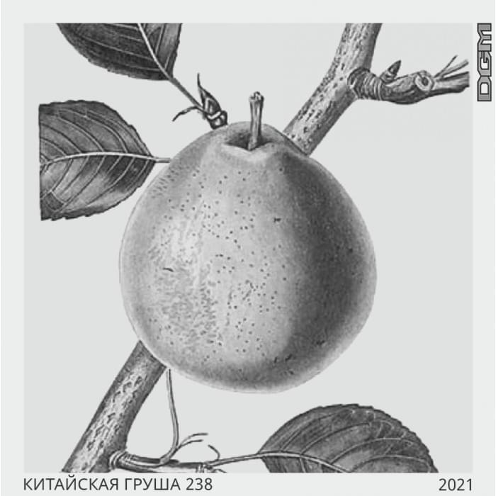Dogma 80 г Китайская Груша