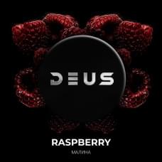 DEUS 30 г Raspberry (Малина)
