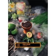 Element Земля 40 г Фейхоа