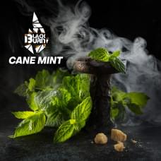 Black Burn 25 г Cane Mint