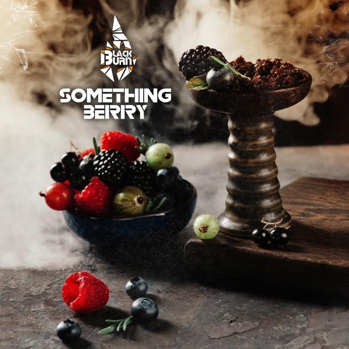 Black Burn 25 г Something Berry
