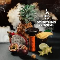 Black Burn 20 г Something Tropical